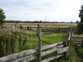 Old sheep pens