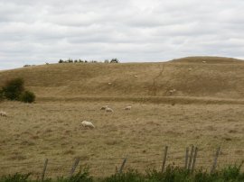 Fields nr Appledore