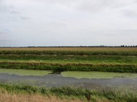 Royal Military Canal nr Appledore