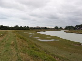 River Rother