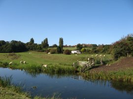 View up to Wickham Manor