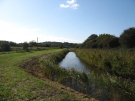 Royal Military Canal, Cliff End