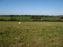View across to Pannel Lane
