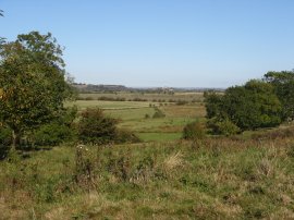 View towards Rye