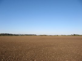 Field beside Station Road, Winchelsea