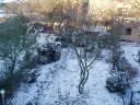 snowy Garden