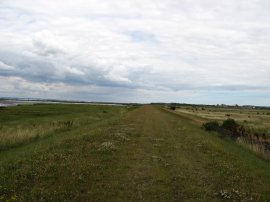 Path along the flood bank