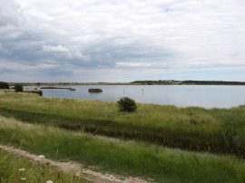 Cliffe Pools