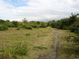 Path nr Cliffe Creek