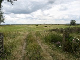 View over Cliffe Marshes