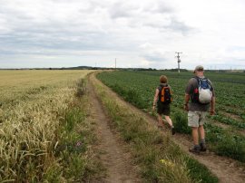 Fields nr Cliffe