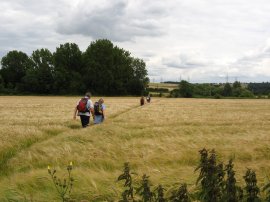 Field nr Cooling