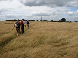 Crossing Raspberry Hill