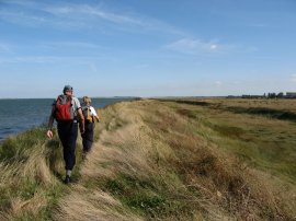 Path besides the Swale