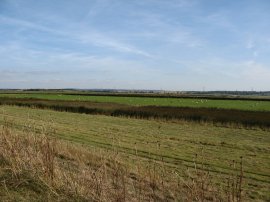 Fields besides the Swale