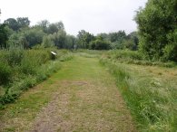 Path nr Old Malden