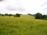 View towards Box Hill