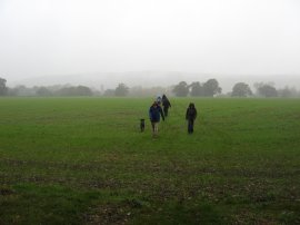 Path nr Pitchfont Farm