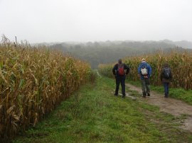 Heading towards Loampit Woods