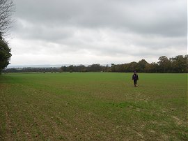 Looking back from Moor Lane