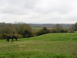 Fields nr Beeches Farm