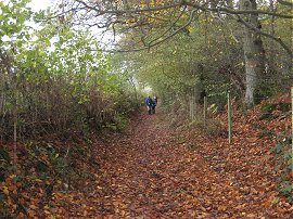 Approaching Forest Row