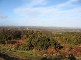 View back towards Forest Row