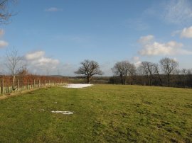 Field besides Stroods House Farm