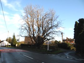 The A272 in Pound Green