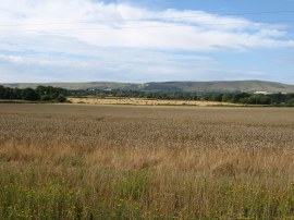 View towards the South Downs