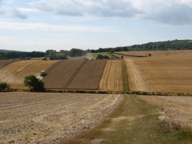 Fields nr Berwick