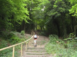 Steps leaving Westdean