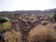 Path to Montaa de Majua