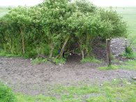 Dartford Marshes