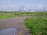 Swanscombe Marshes