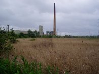 Botany Marshes