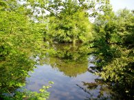 Ponds, Sevenoaks