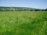 Darent Valley Path, approaching Shoreham