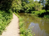 River Darent