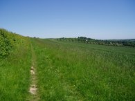 Fields nr Eynsford