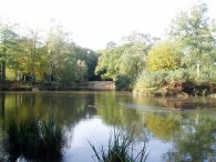 Strawberry Hill Pond