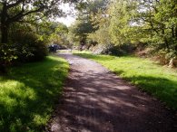 Green Ride, Epping Forest