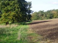 Approaching Griffin's Wood