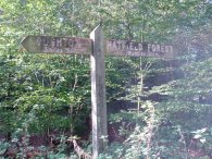 Forest Way Signpost