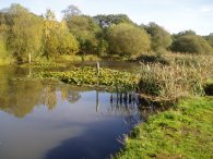 Fairmead Pond