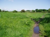 Wanstead Flats