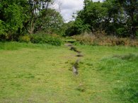 Epping Forest, nr Whipps Cross