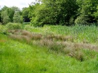 Pond by Woodford New Road