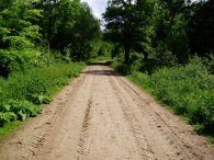 Epping Forest