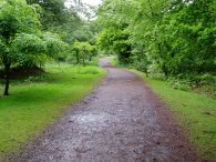 Green Ride, Epping Forest